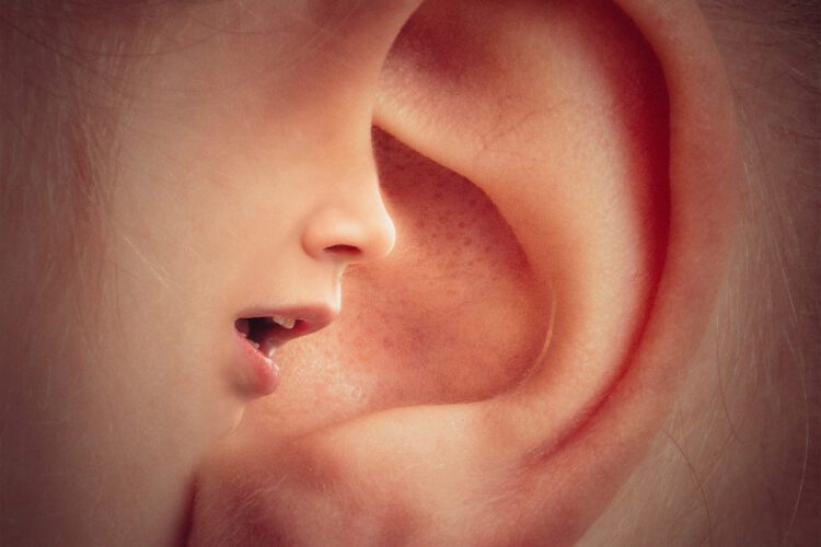 Ohrgeräusche Tinnitus
