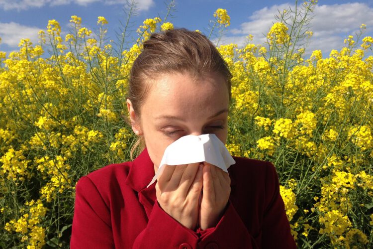 Allergieauslöser