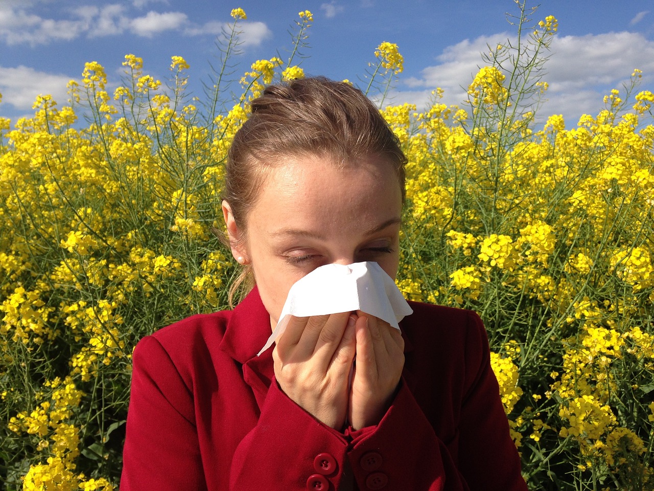 Allergieauslöser