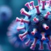 chikungunya-virus